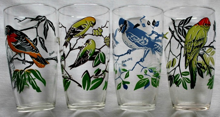 Vintage Drinking Glasses Tumblers Big Top Circus Parakeet Parrot Orange  Birds